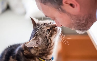 Cães e gatos reduzem risco de depressão e isolamento social