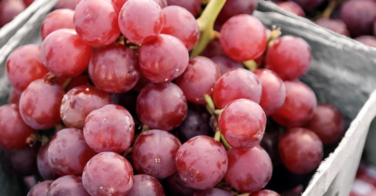 Notícias - Resveratrol pode reduzir declínio muscular associado à obesidade