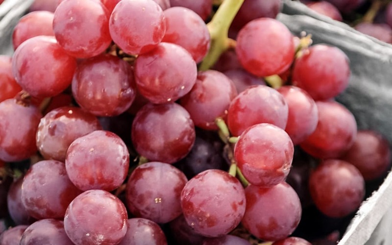 Resveratrol pode reduzir declínio muscular associado à obesidade Resveratrol pode reduzir declínio muscular associado à obesidade