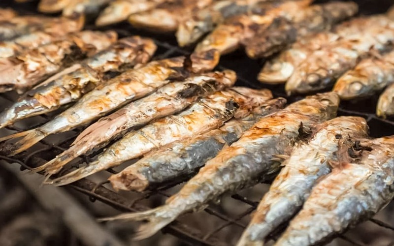 Sardinhas são bastante nutritivas mas cuidado com a confeção Sardinhas são bastante nutritivas mas cuidado com a confeção