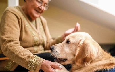 Cães conseguem detetar a doença de Parkinson antes dos sintomas