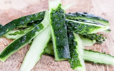 Casca de pepino tem antioxidantes e melhora o trânsito intestinal