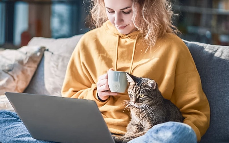 Novo teste online deteta toxoplasmose sem amostra de sangue