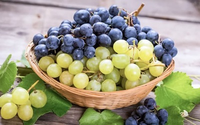 Uvas são um superalimento que modula o microbioma intestinal