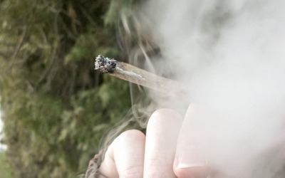 Inalação de cannabis pode elevar significativamente risco de asma
