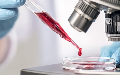 Tipo sanguíneo pode determinar envelhecimento mais lento