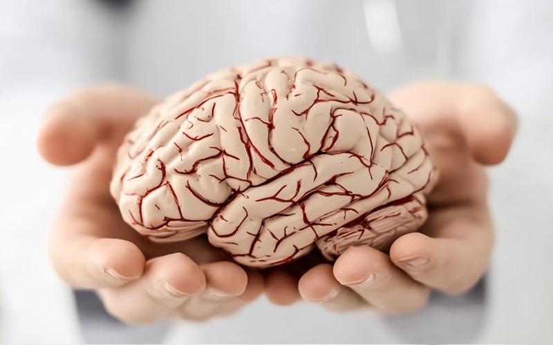 Cérebro atinge o seu desempenho máximo mesmo após os 55 anos