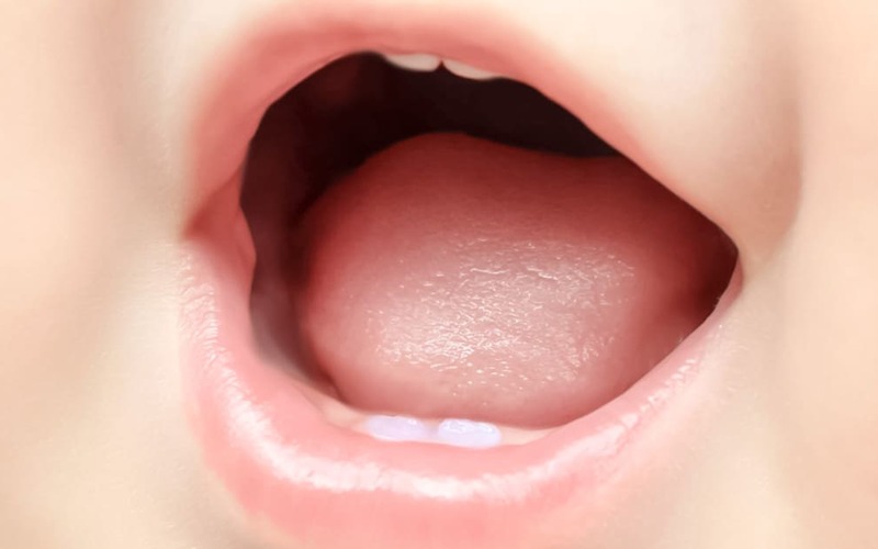 Stress materno acelera momento da erupção dentária do bebé Stress materno acelera momento da erupção dentária do bebé