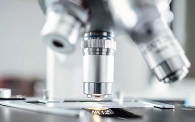 Notícias - Identificado mecanismo molecular associado à doença de Batten