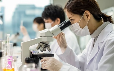 Notícias - Cientistas podem ter descoberto a chave para anti-envelhecimento