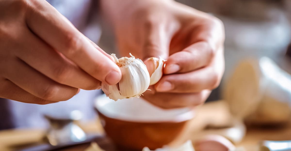 Notícias - Consumo regular de alho pode ajudar a viver mais anos