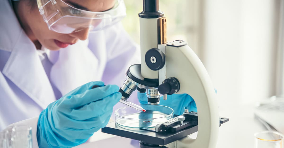 Notícias - Já é possível criar óvulos funcionais a partir da pele