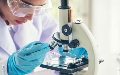 Já é possível criar óvulos funcionais a partir da pele