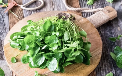 Sabe qual é o vegetal anti-envelhecimento número 1 do mundo?