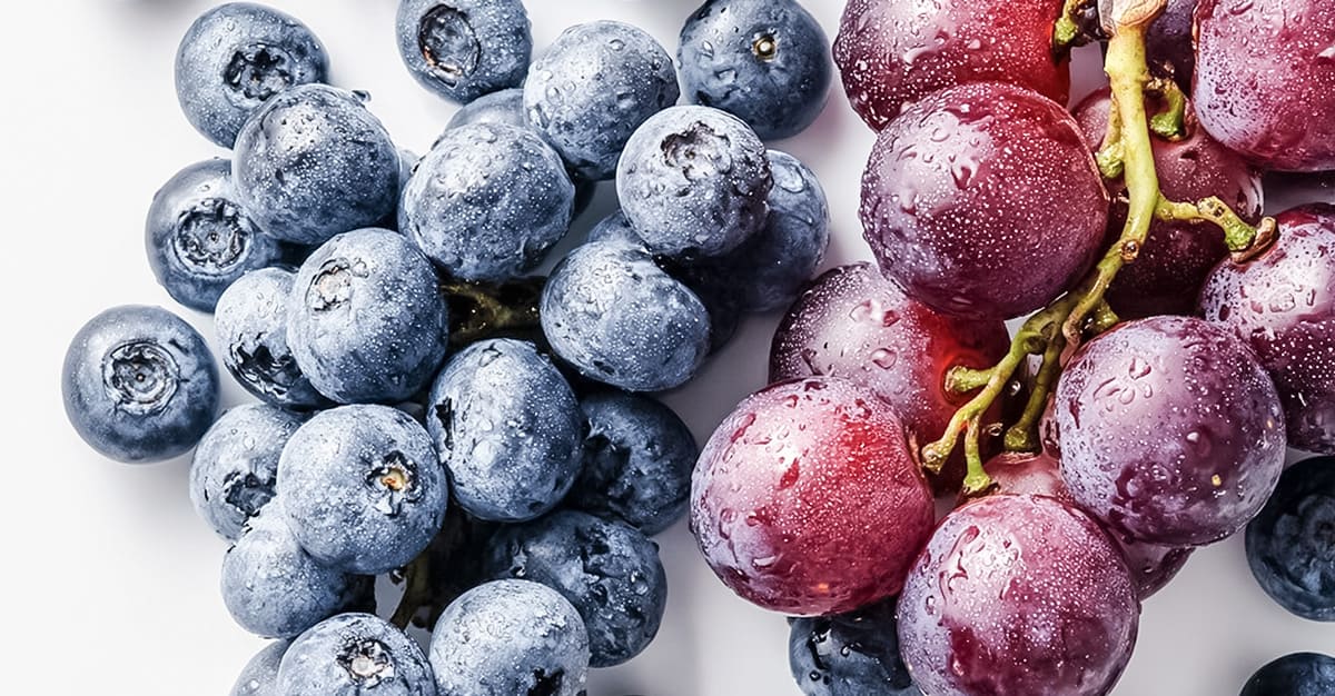 Notícias - Alguns alimentos estimulam a criação de novos neurónios