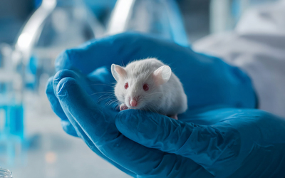 Alergias respiratórias podem evitar-se com exposição a micróbios