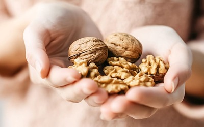 Notícias - Consumir nozes diariamente melhora saúde do coração e do cérebro