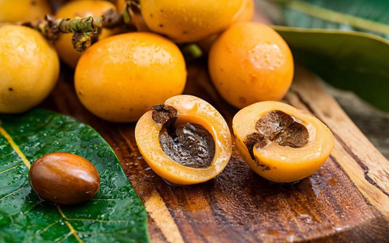 Perigo das nêsperas não está na casca mas nos caroços Perigo das nêsperas não está na casca mas nos caroços