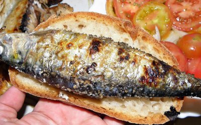 Cinco boas razões para comer sardinha