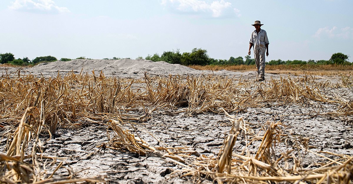 Notícias - El Niño pode atingir intensidade inédita e agravar insegurança alimentar