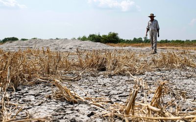 El Niño pode atingir intensidade inédita e agravar insegurança alimentar