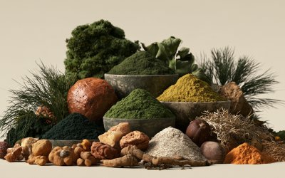 "Superalimentos" - onde estão agora?