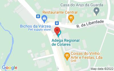 Caminhada pela Rota do Vinho de Colares e Azenhas do Mar